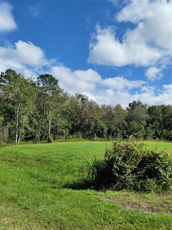 213 Clifton Road Crescent City, FL 32112 - Photo 37 of 55