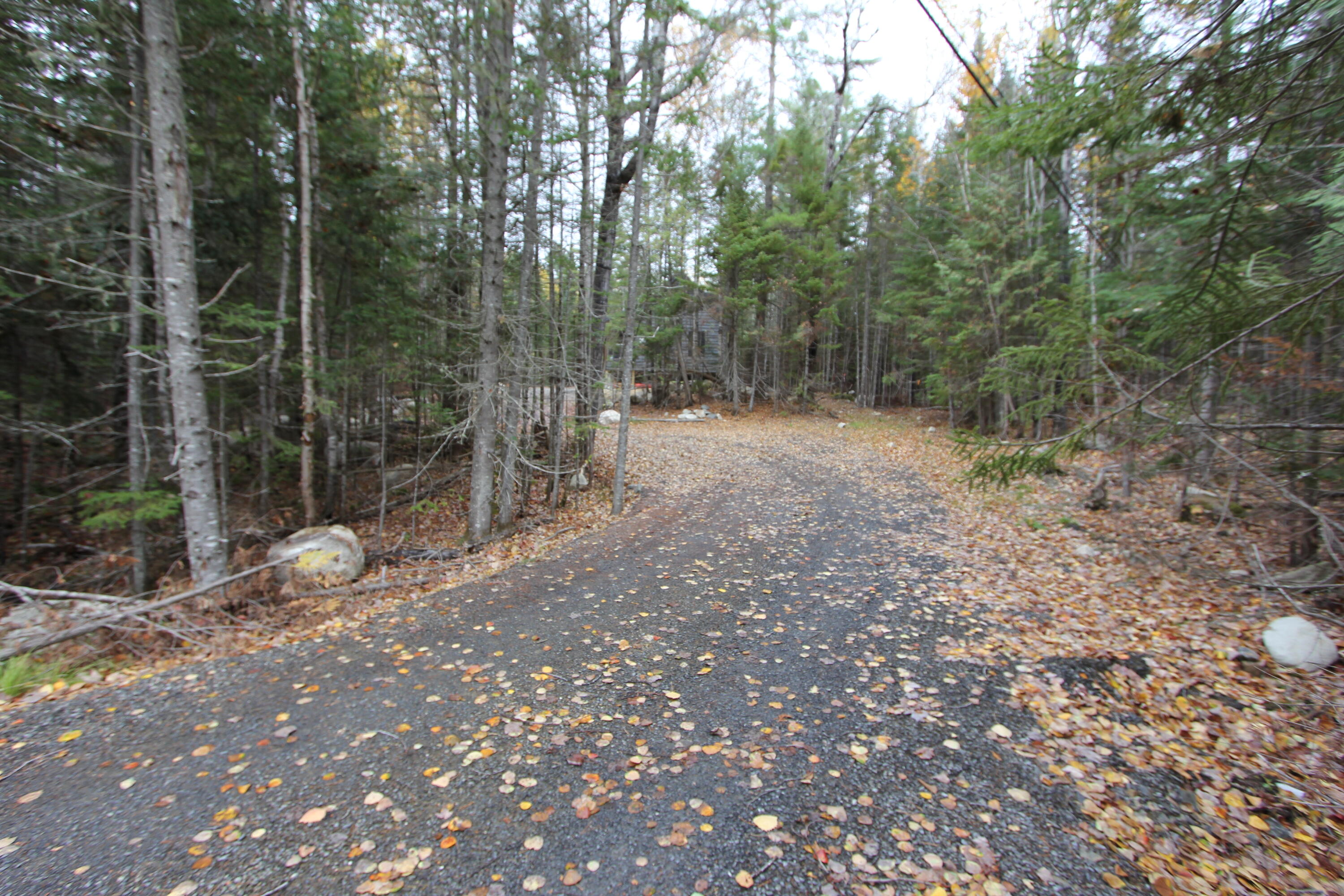 331 Birches Beach Road Oquossoc, ME 04964 - Photo 50 of 94 IMG_7831
