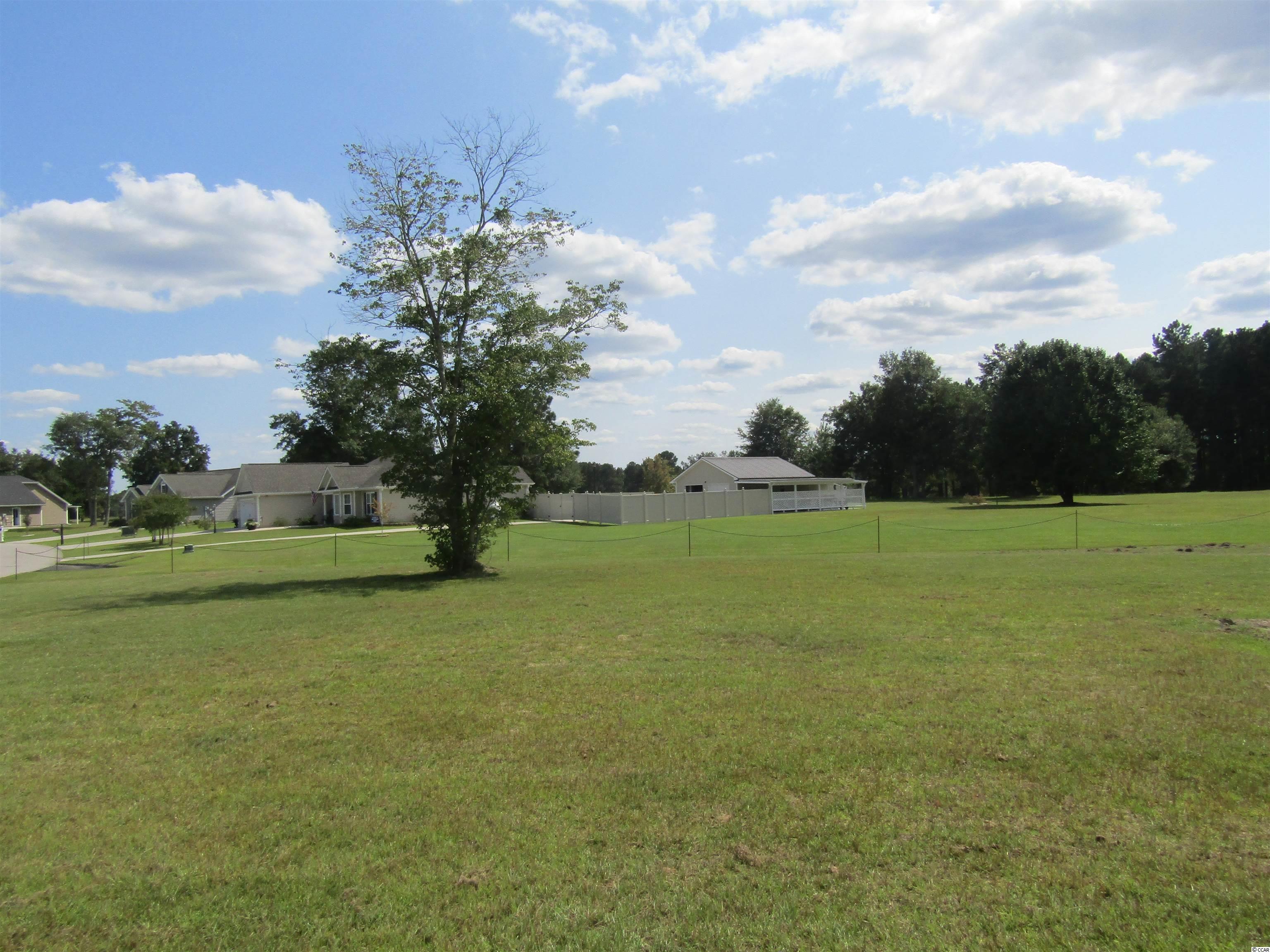 363 Floyd Page Road Galivants Ferry, SC 29544 - Photo 2 of 37 Gallery Image 2