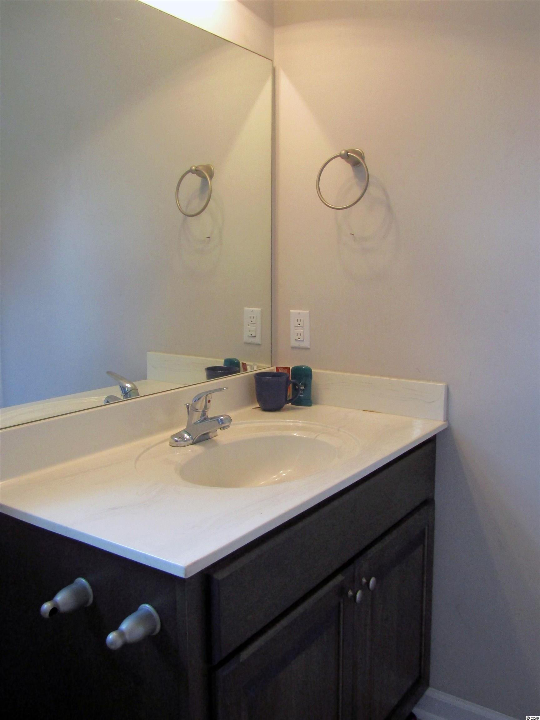 363 Floyd Page Road Galivants Ferry, SC 29544 - Photo 29 of 37 Gallery Image 29