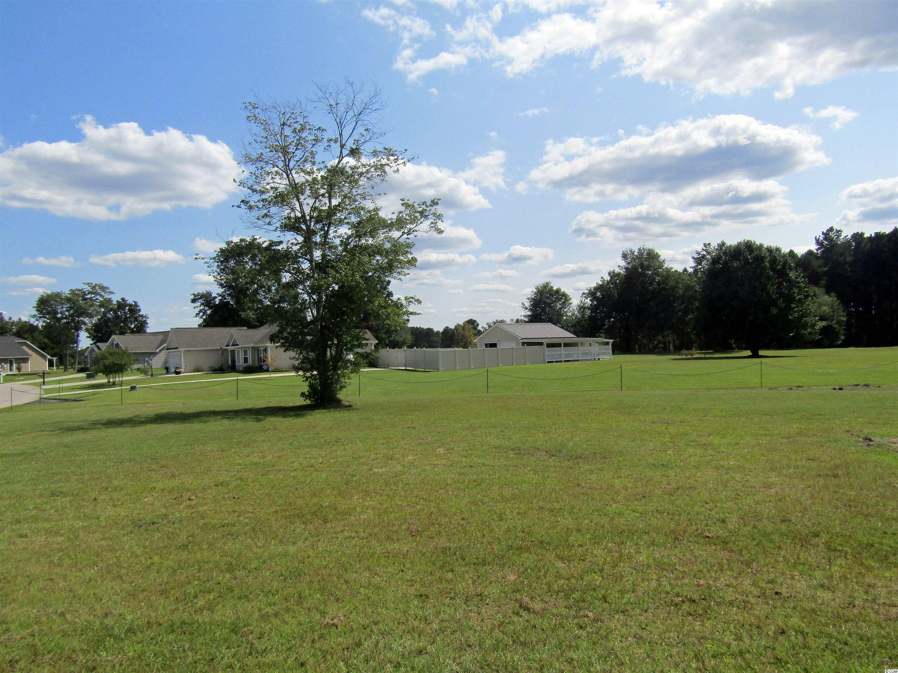 363 Floyd Page Road Galivants Ferry, SC 29544 - Photo 34 of 37 Gallery Image 34