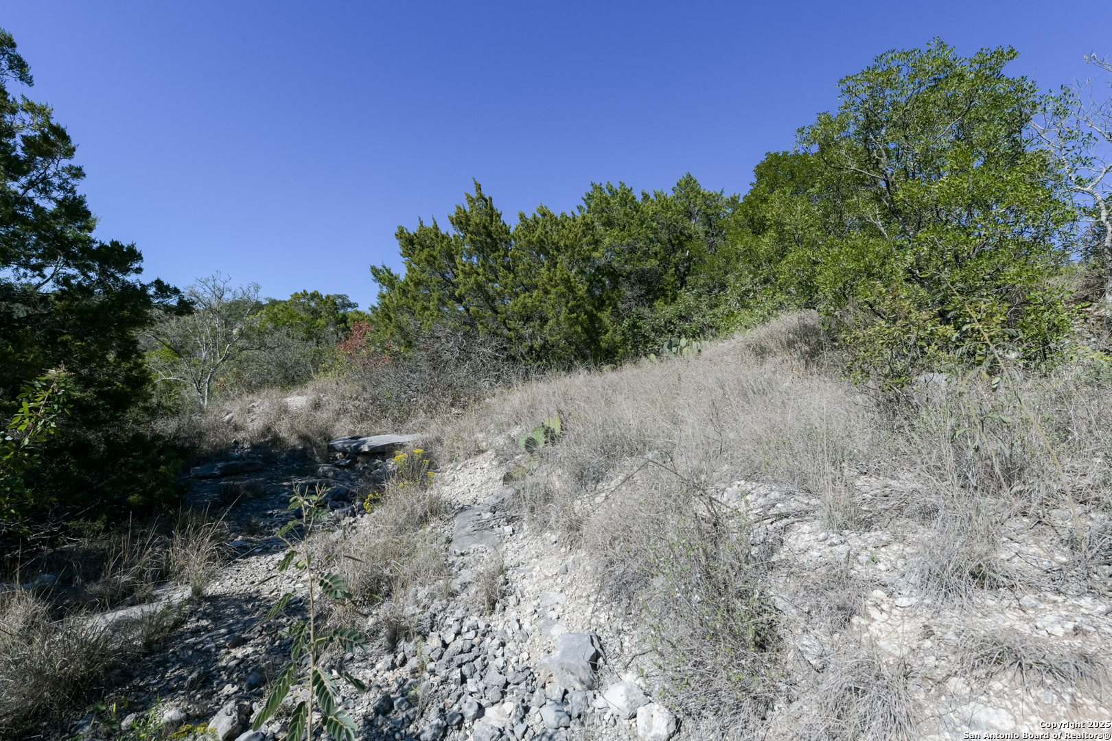 11304 Condor Pass Helotes, TX 78023 - Photo 4 of 6