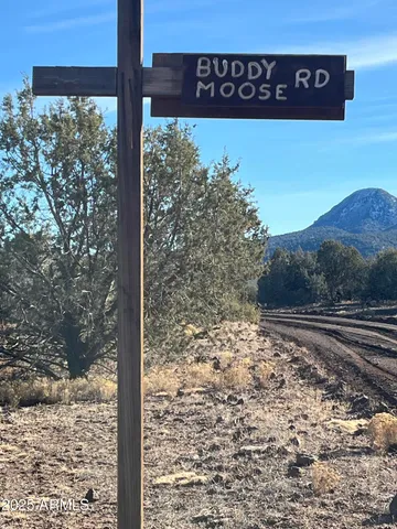 a view of a street sign under a large tree
