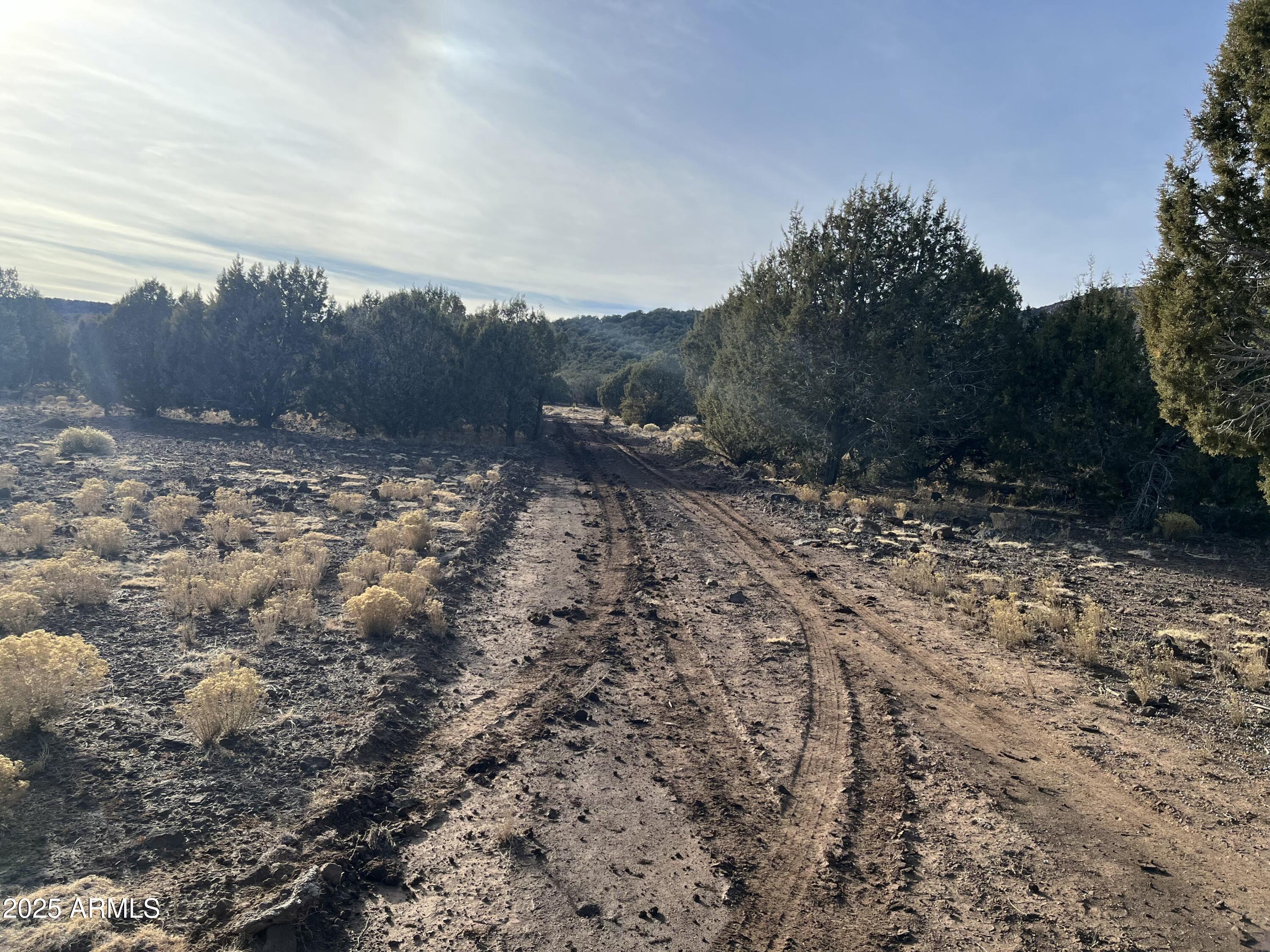 17411 Ranch Road, Unit 62 Williams, AZ 86046 - Photo 8 of 9 a view of a dry yard with trees