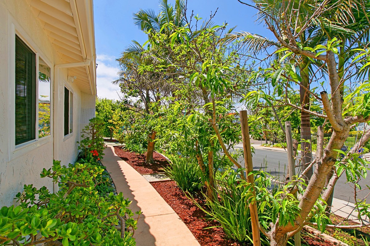 309 Cerro Street Encinitas, CA 92024 - Photo 25 of 25 Gallery Image 25