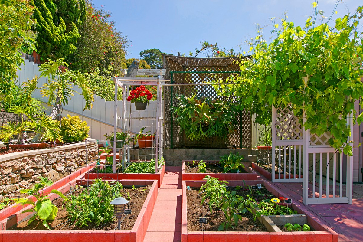 309 Cerro Street Encinitas, CA 92024 - Photo 10 of 25 Gallery Image 10