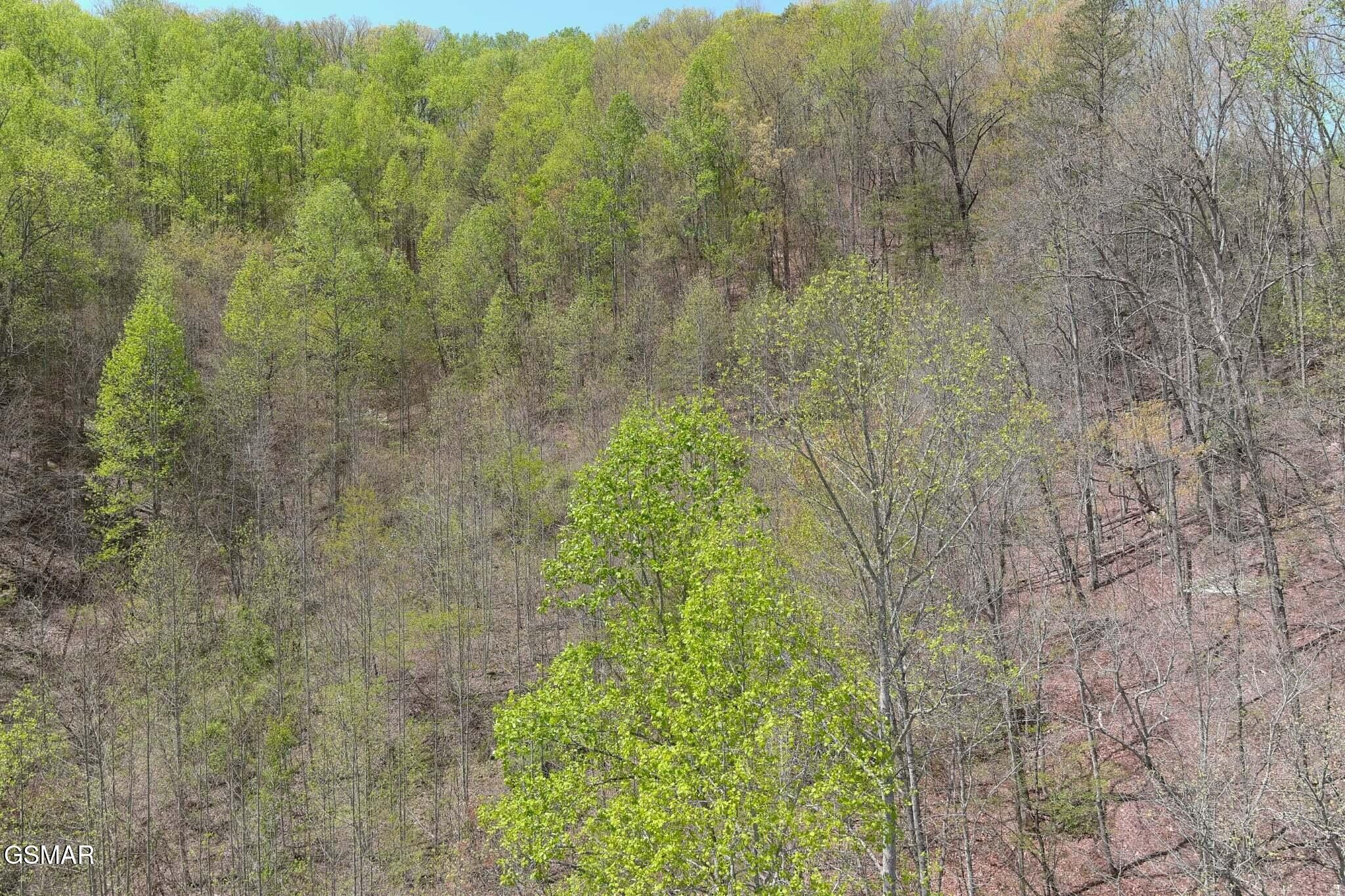 4246 Birds Creek Road Sevierville, TN 37876 - Photo 22 of 36 Gallery Image 22
