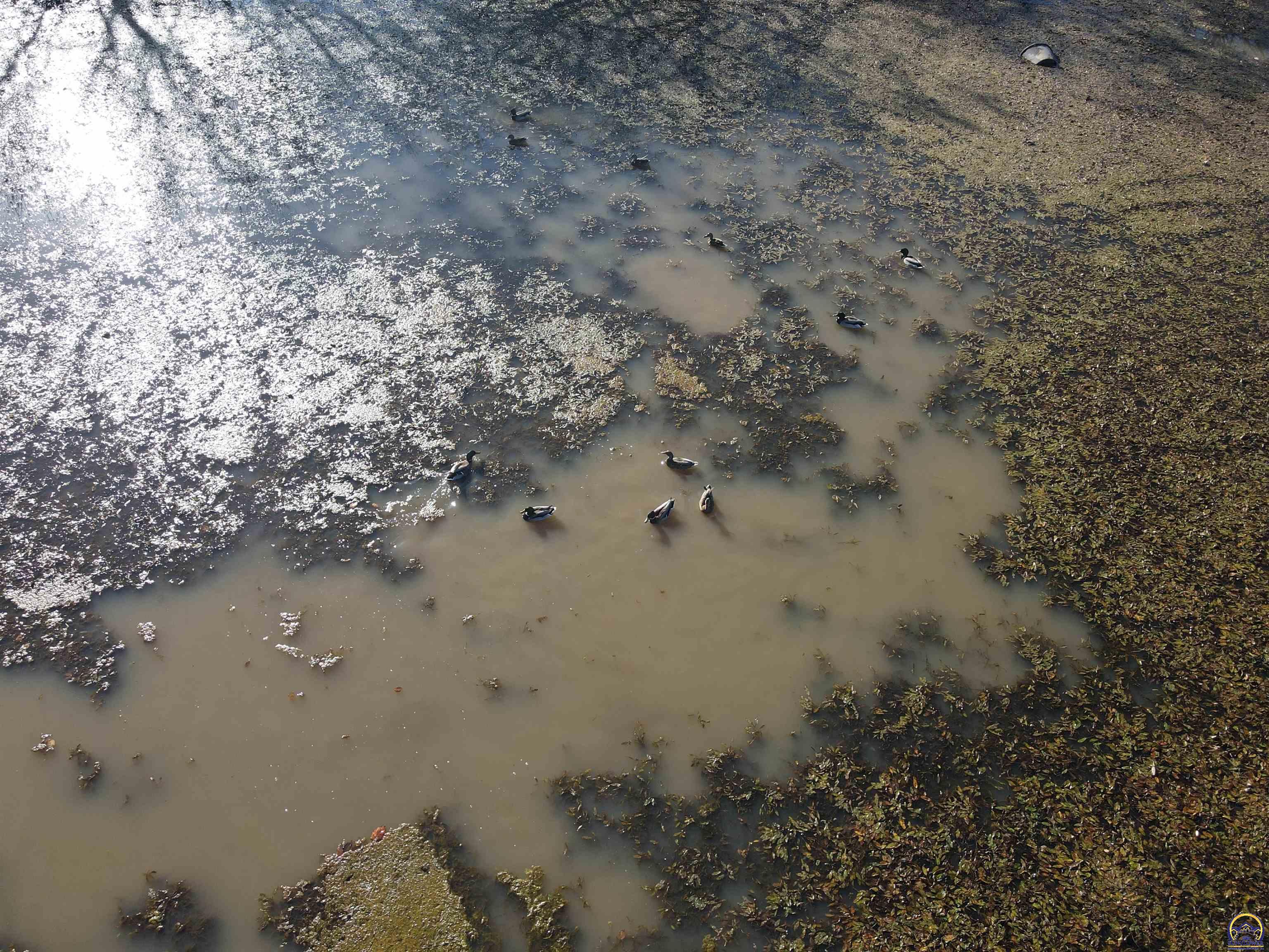0 K 99 Highway Eskridge, KS 66423 - Photo 16 of 71