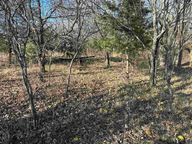 $416,500 | 0 K 99 Highway, Eskridge, KS 66423