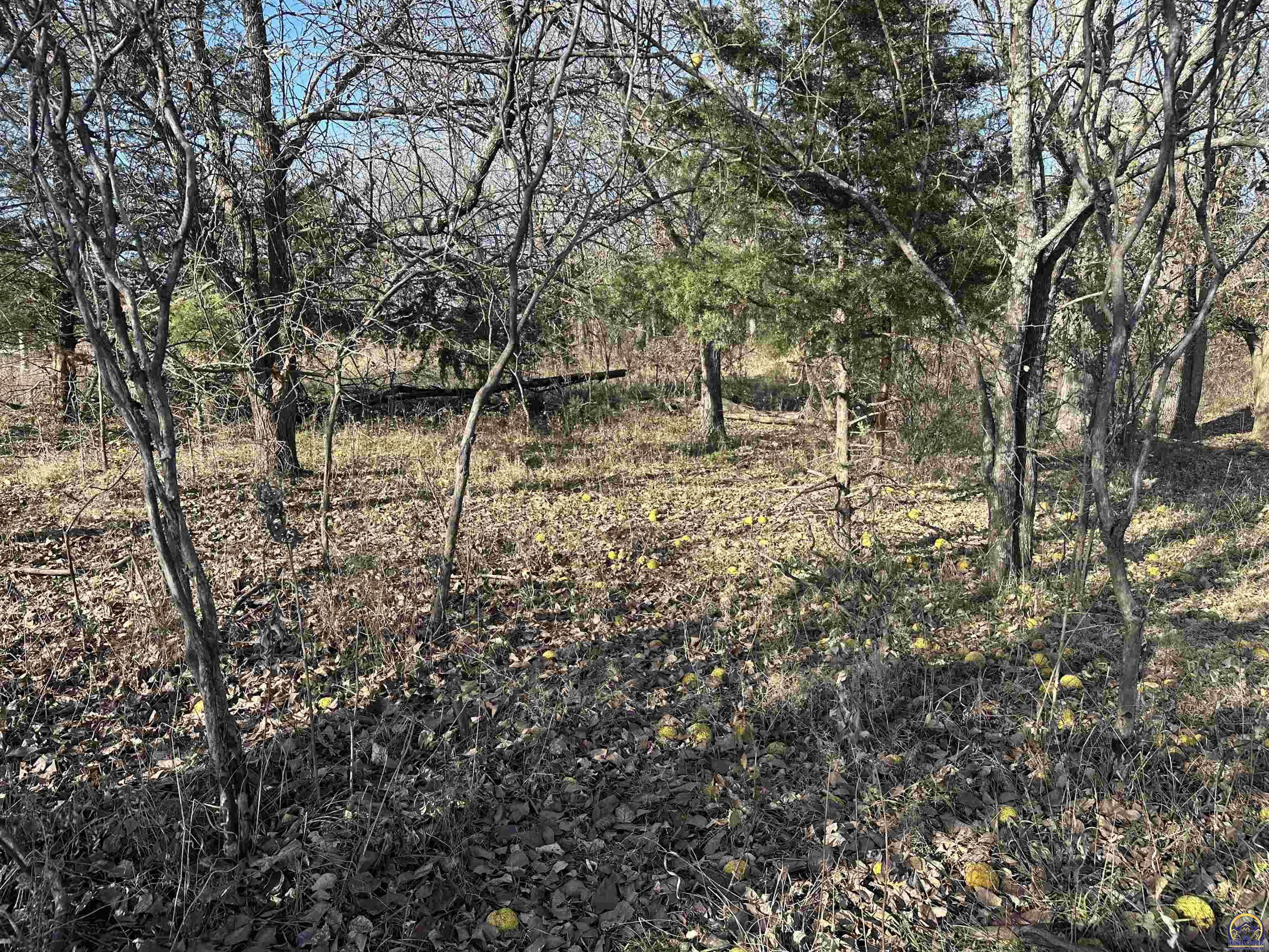 0 K 99 Highway Eskridge, KS 66423 - Photo 28 of 71