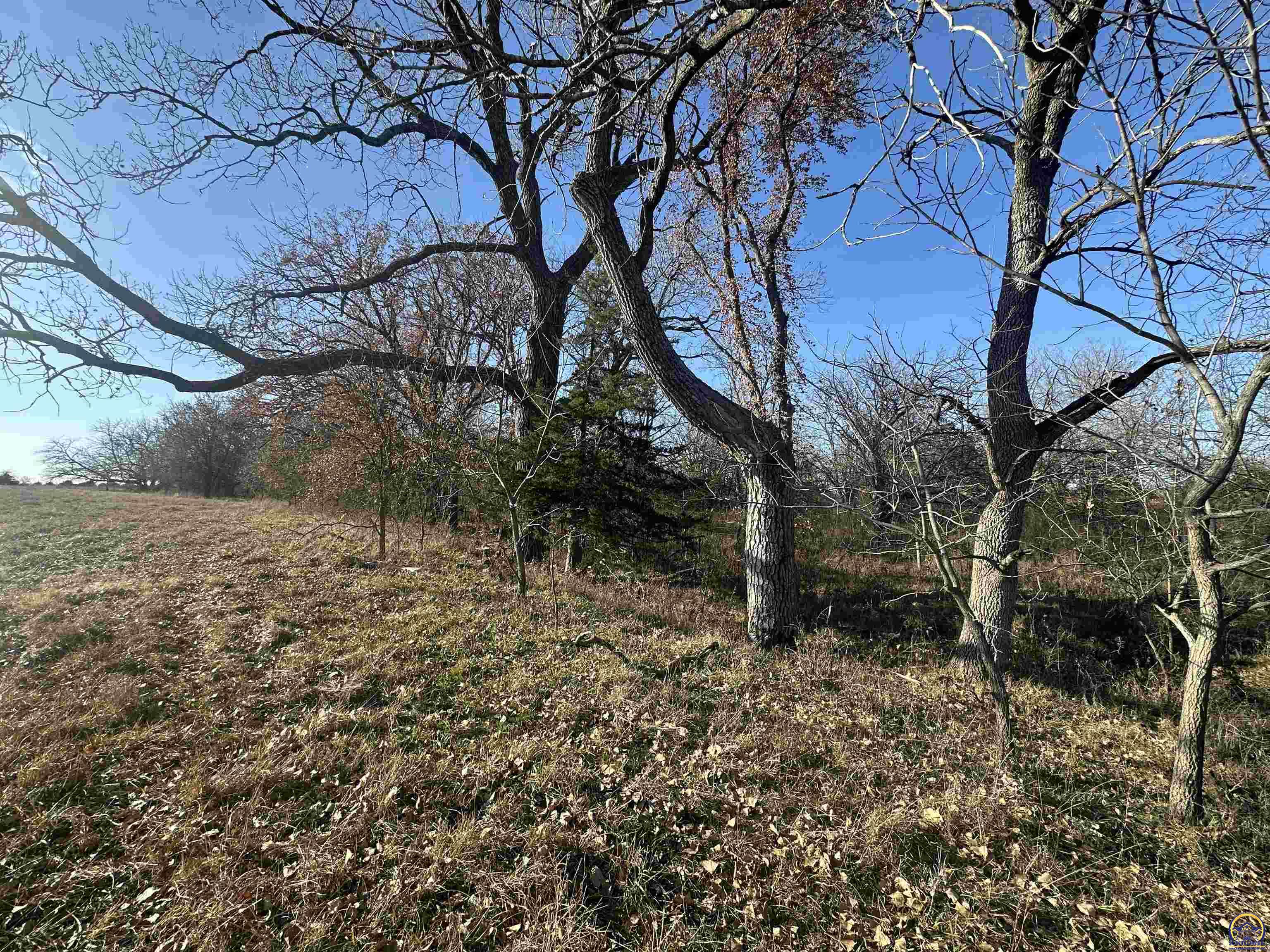 0 K 99 Highway Eskridge, KS 66423 - Photo 31 of 71