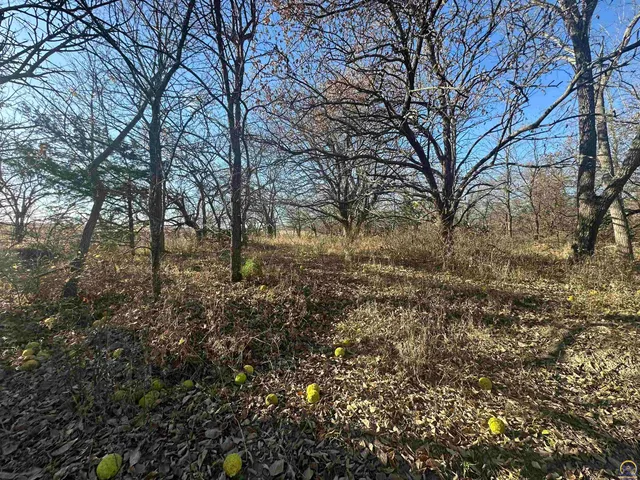 $416,500 | 0 K 99 Highway, Eskridge, KS 66423