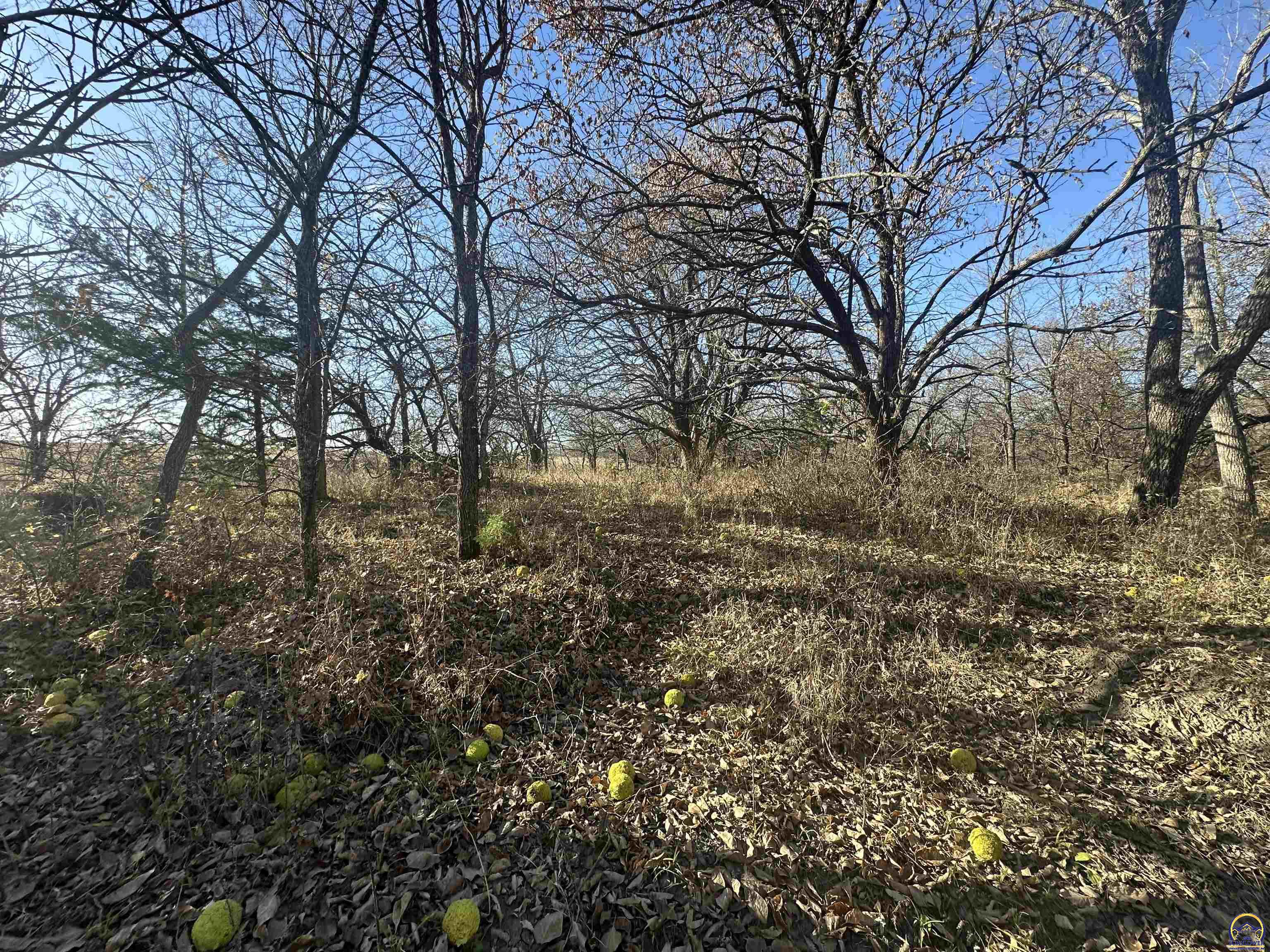 0 K 99 Highway Eskridge, KS 66423 - Photo 35 of 71