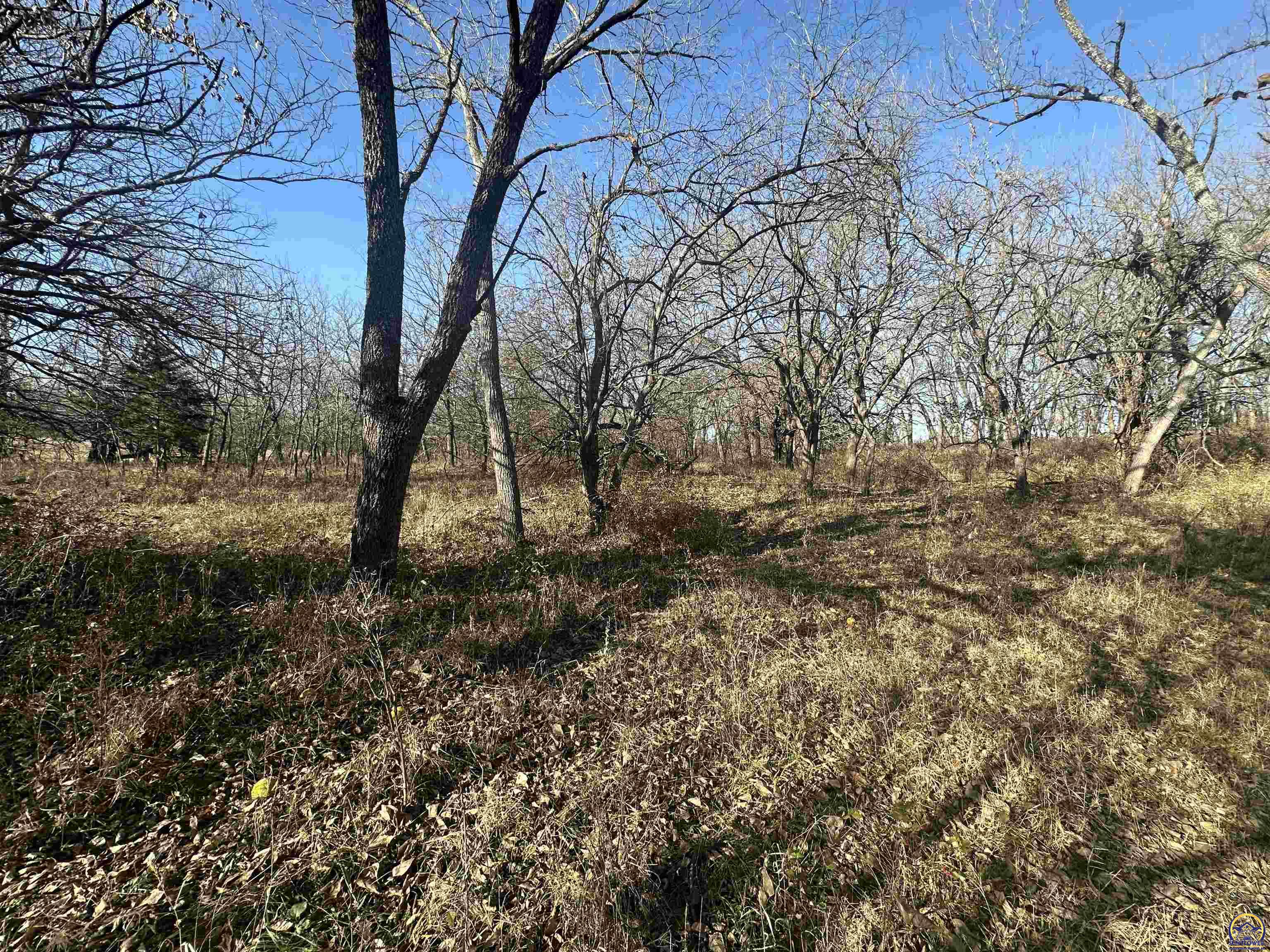 0 K 99 Highway Eskridge, KS 66423 - Photo 36 of 71