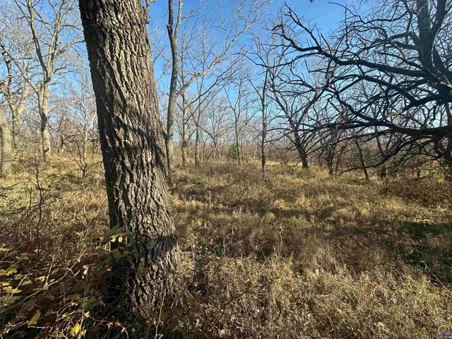 $416,500 | 0 K 99 Highway, Eskridge, KS 66423