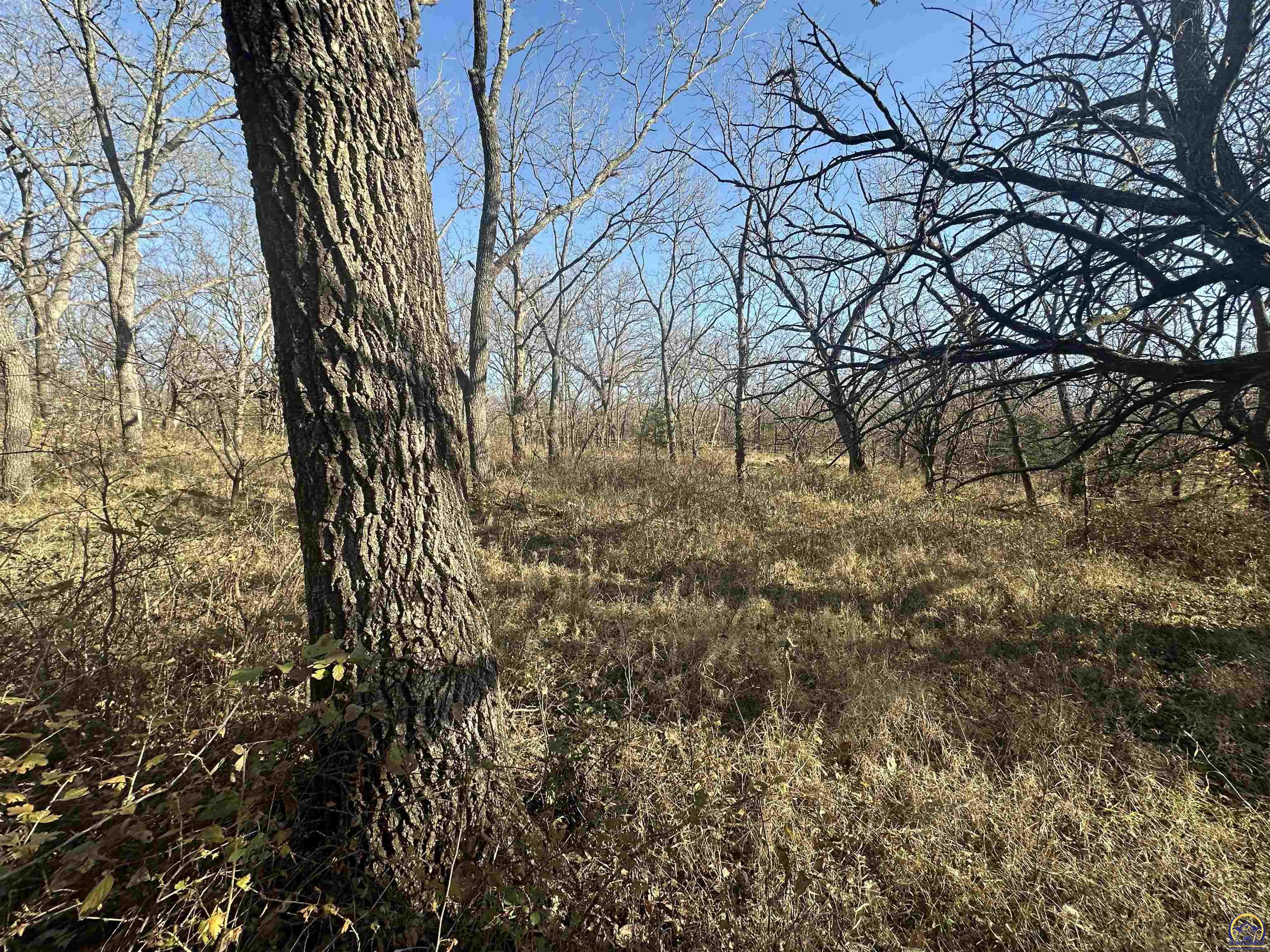 0 K 99 Highway Eskridge, KS 66423 - Photo 38 of 71