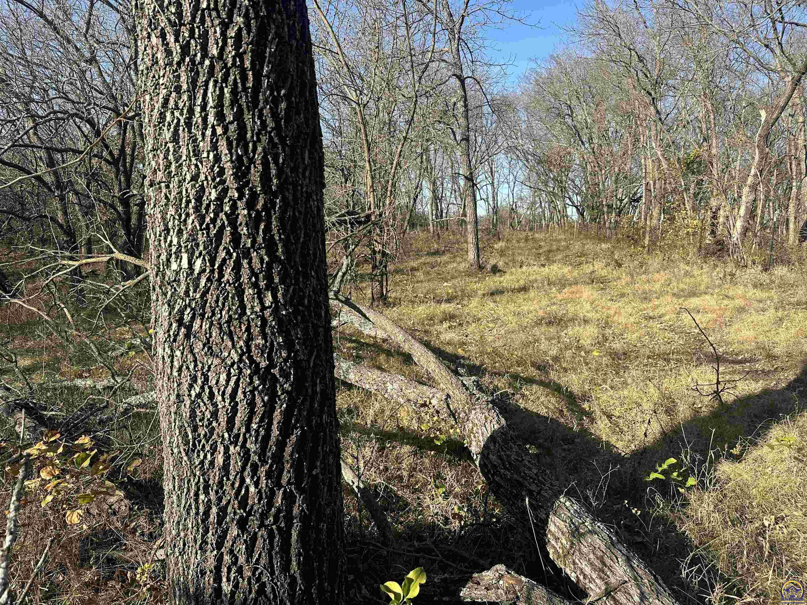 0 K 99 Highway Eskridge, KS 66423 - Photo 43 of 71