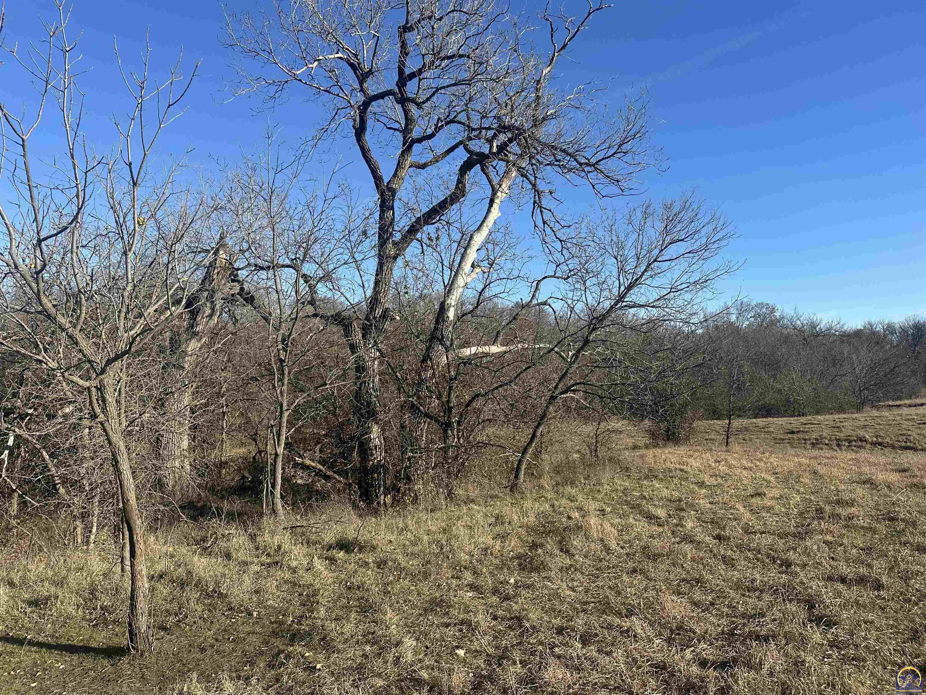 0 K 99 Highway Eskridge, KS 66423 - Photo 44 of 71