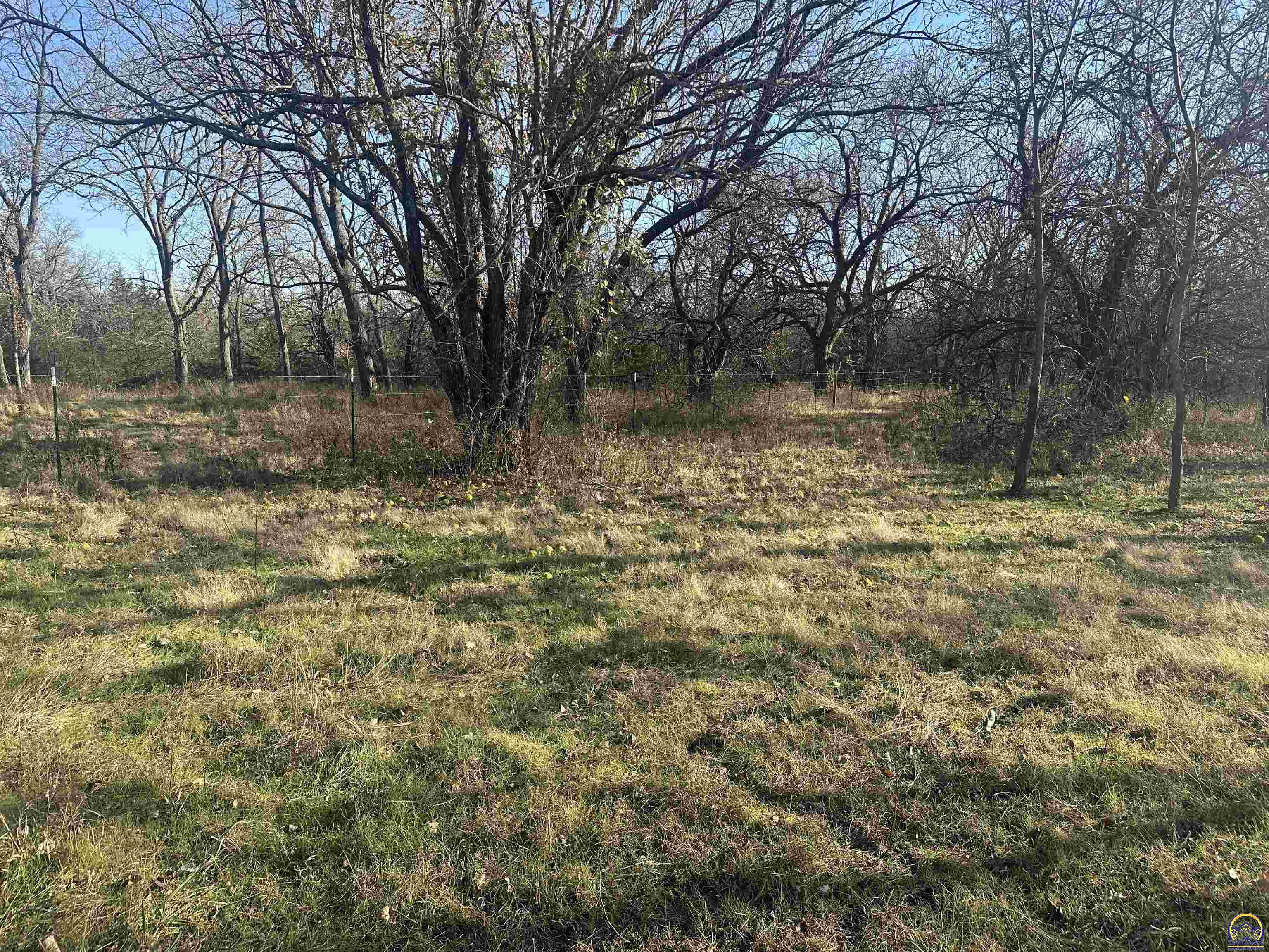 0 K 99 Highway Eskridge, KS 66423 - Photo 49 of 71