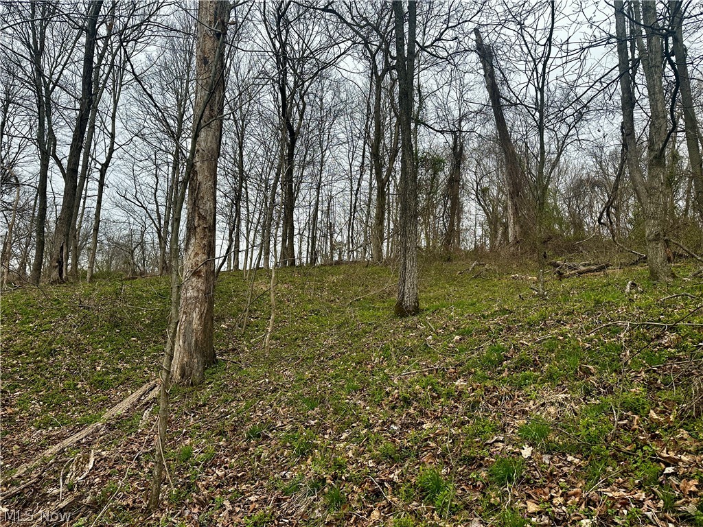 35840 Swan Road Long Bottom, OH 45743 - Photo 18 of 23