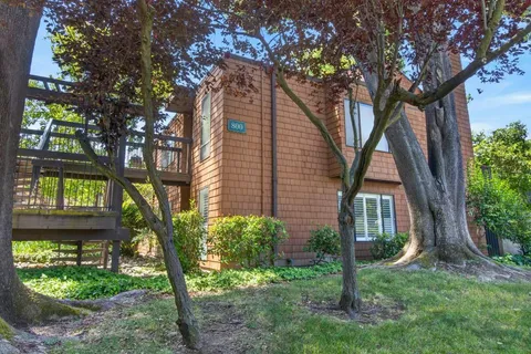 a view of a house with a tree in a yard