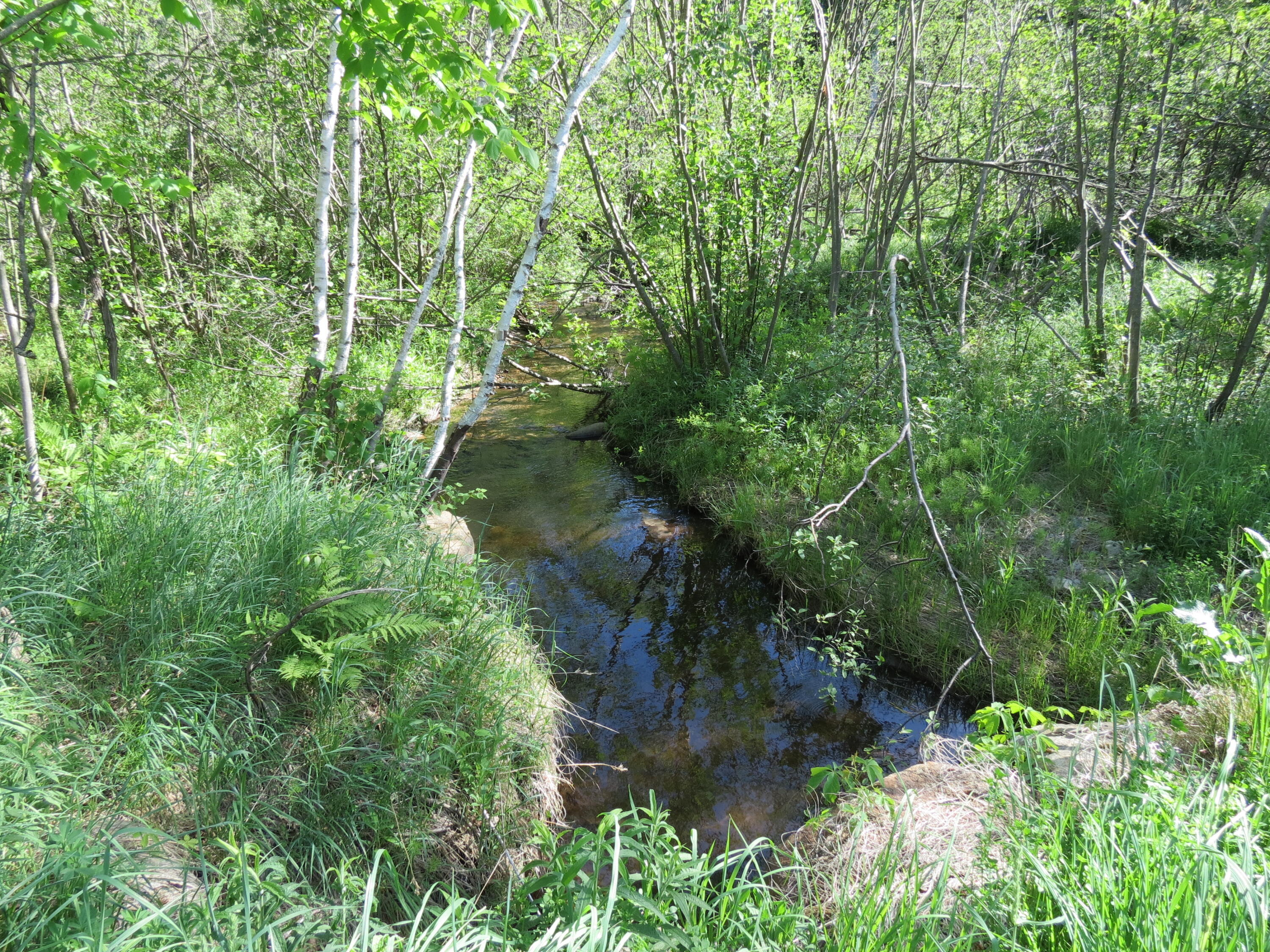 0 Trumbulls Road Upper Jay, NY 12987 - Photo 10 of 22