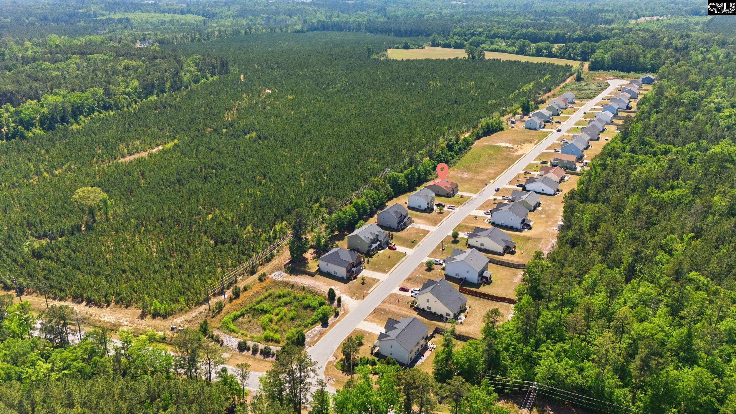 111 Tall Pines Road Gaston, SC 29053 - Photo 31 of 34