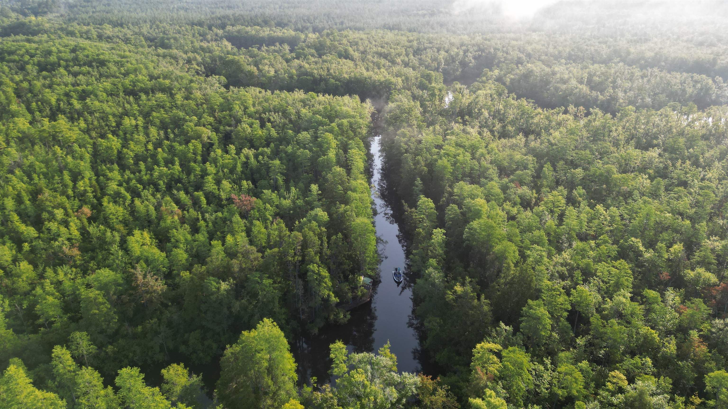 1050 Cedar Creek Landing Road Mount Vernon, AL 36560 - Photo 39 of 59 Aerial View