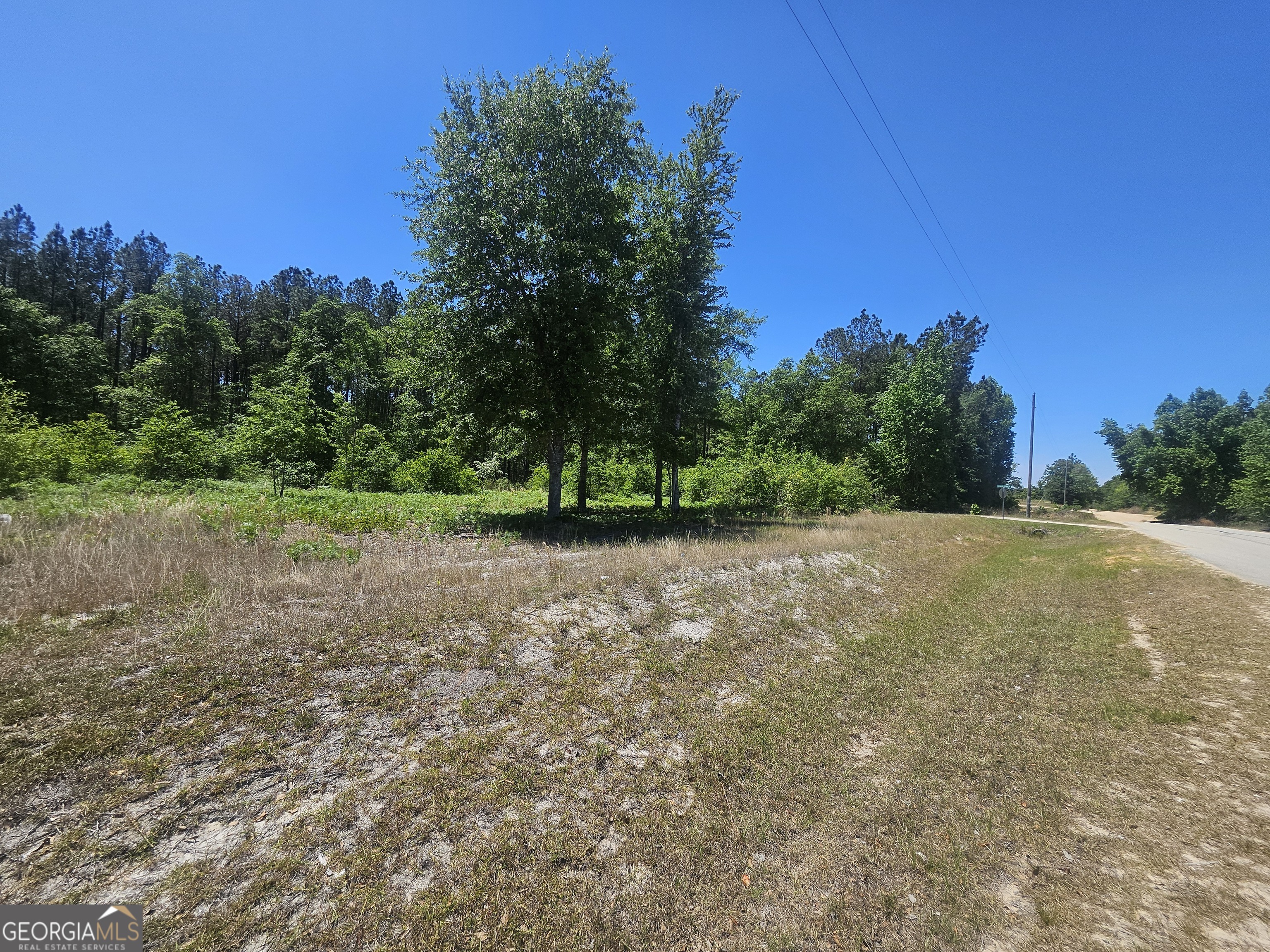 0 Edgar Lane Road Millen, GA 30442 - Photo 4 of 6