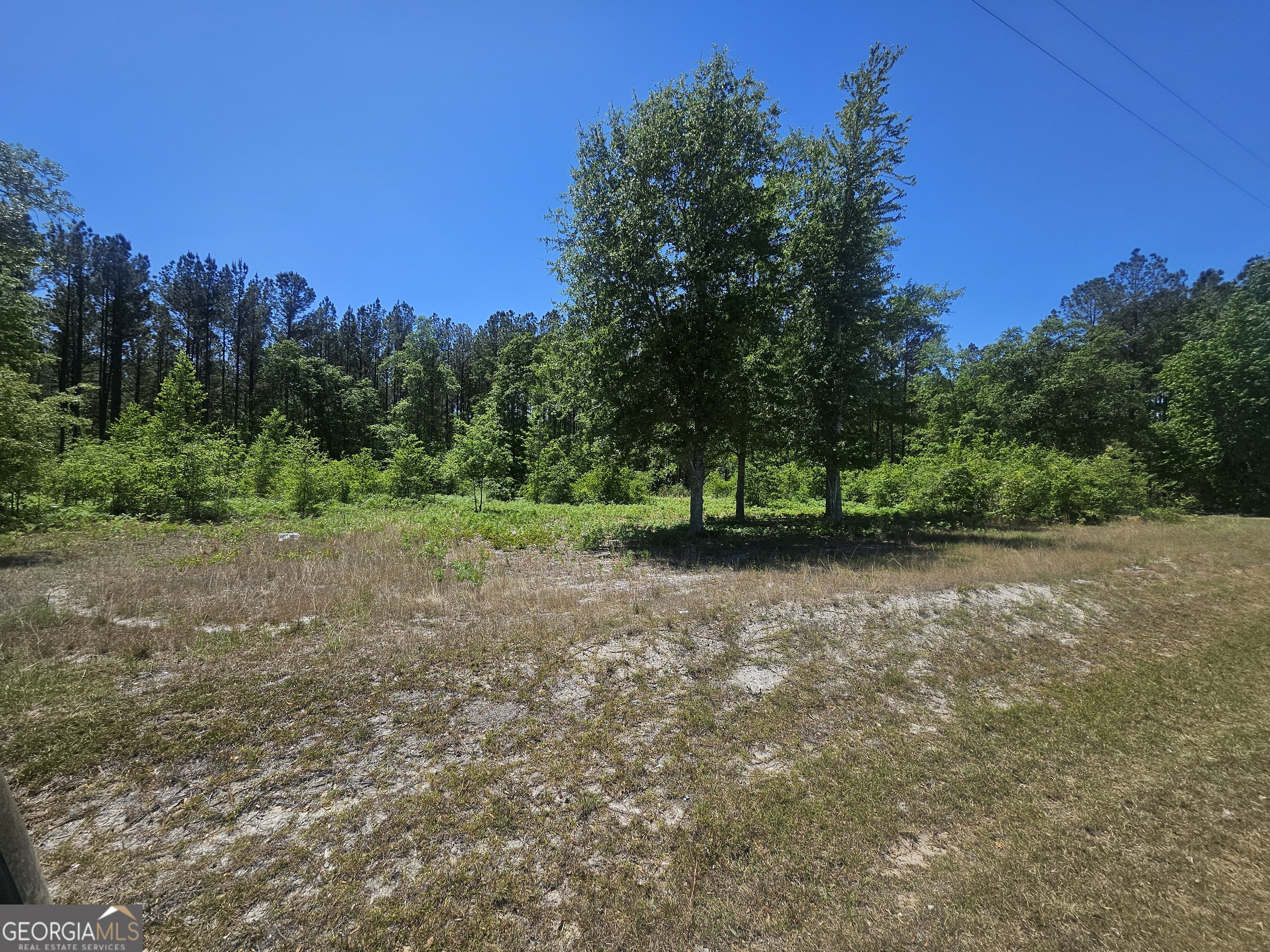 0 Edgar Lane Road Millen, GA 30442 - Photo 6 of 6