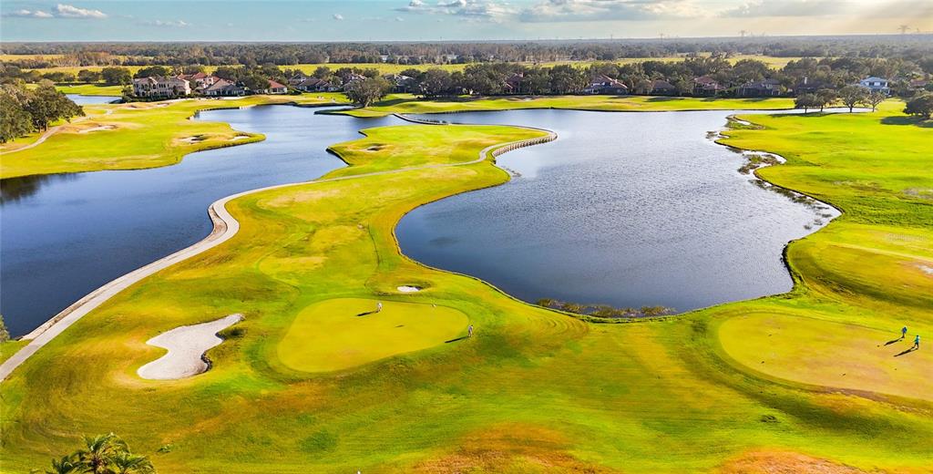 1543 Parilla Circle New Port Richey, FL 34655 - Photo 69 of 83