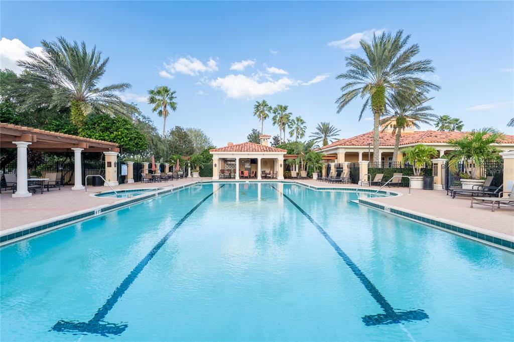 1543 Parilla Circle New Port Richey, FL 34655 - Photo 76 of 83