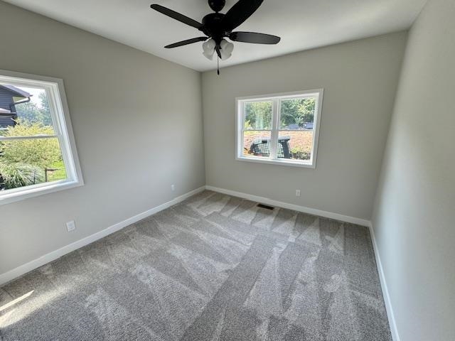 7703 Stonecrop Way DeForest, WI 53532 - Photo 19 of 25