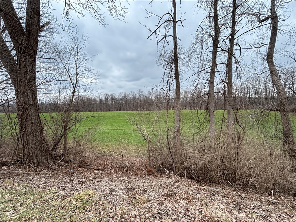 Lyon Road Marion, NY 14505 - Photo 2 of 7