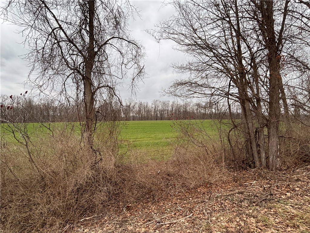 Lyon Road Marion, NY 14505 - Photo 3 of 7