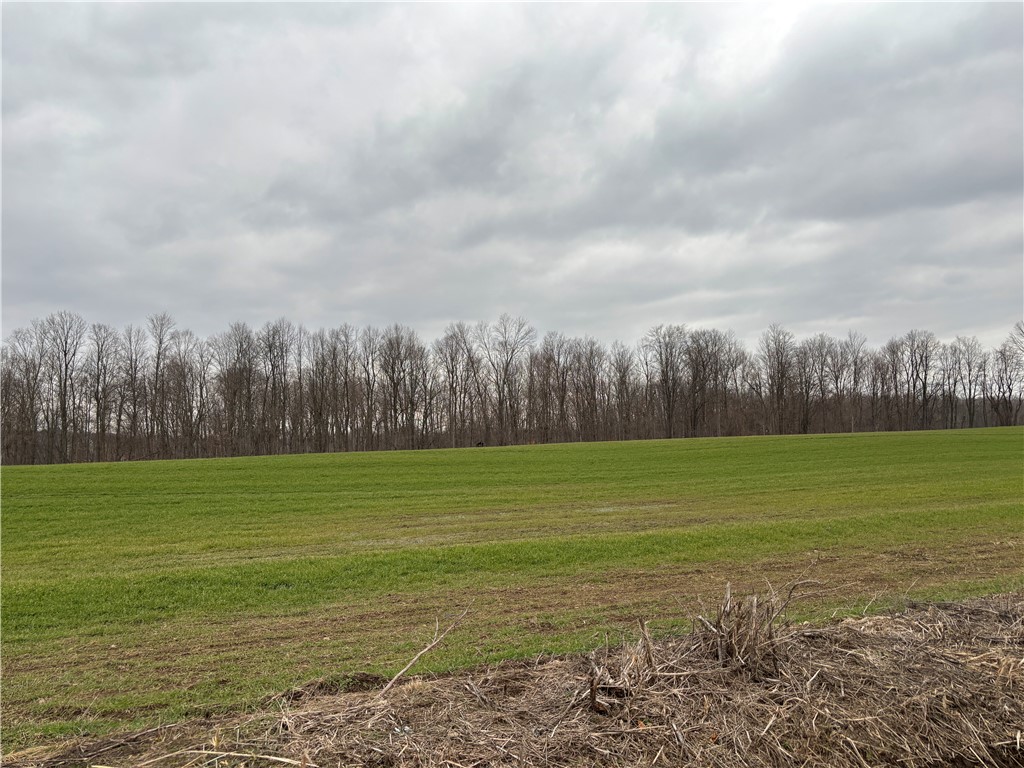 Lyon Road Marion, NY 14505 - Photo 4 of 7