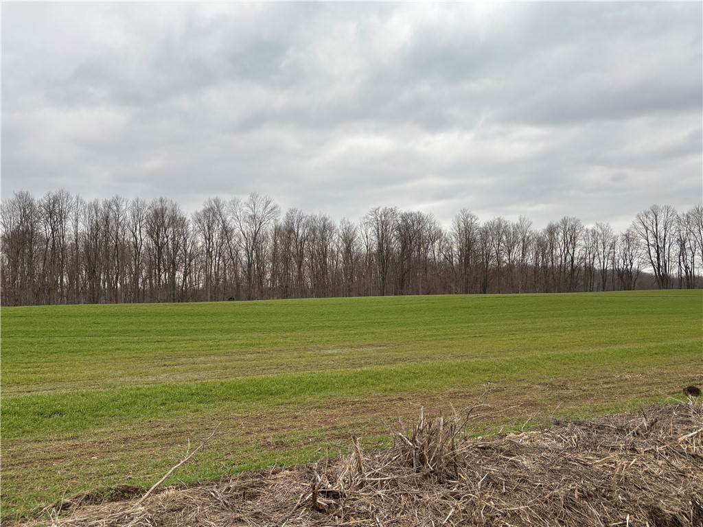 Lyon Road Marion, NY 14505 - Photo 6 of 7