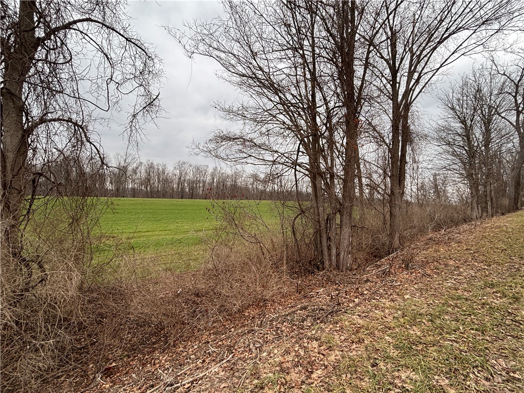 Lyon Road Marion, NY 14505 - Photo 7 of 7