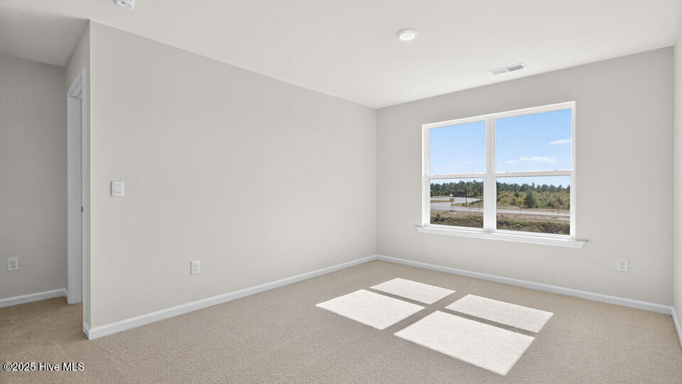 665 Wilder Bloom Path Aberdeen, NC 28315 - Photo 17 of 43 Loft