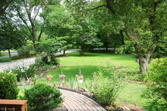 10686 Prouty Road Painesville, OH 44077 - Photo 3 of 27 view from front door of front yard