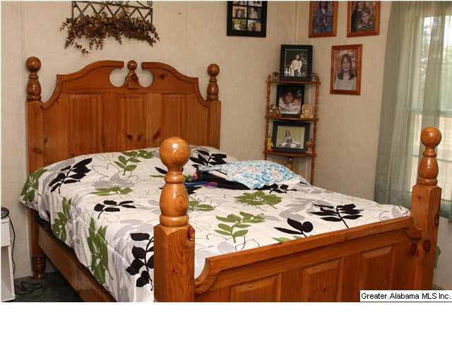 1040 Lynch Lake Road Odenville, AL 35120 - Photo 10 of 30