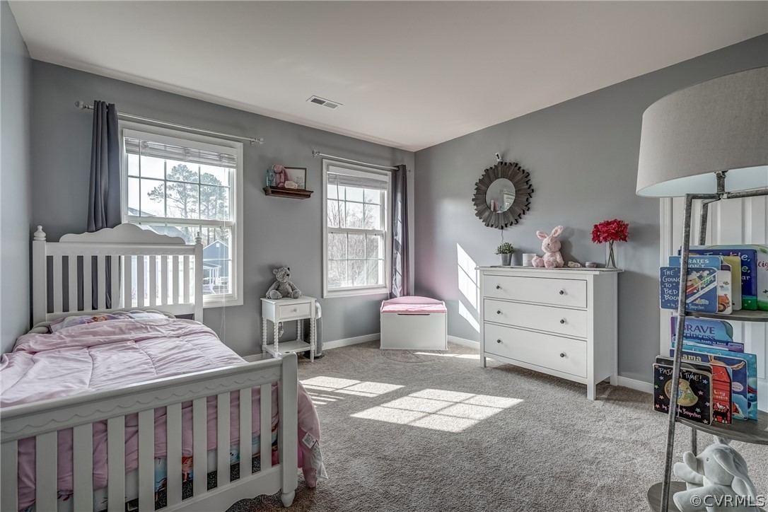 231 Wallingham Drive Midlothian, VA 23114 - Photo 33 of 50