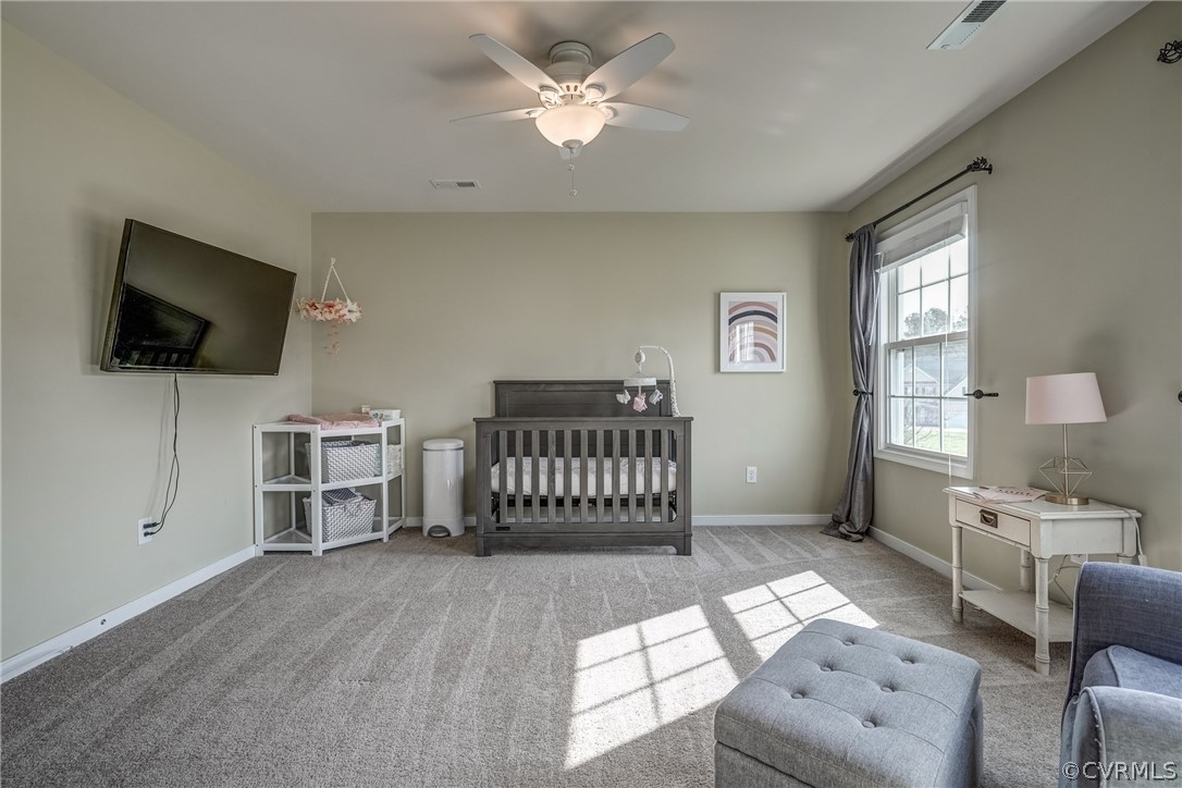 231 Wallingham Drive Midlothian, VA 23114 - Photo 35 of 50