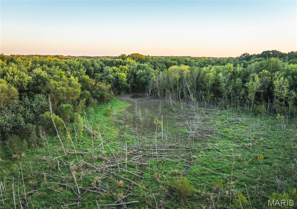 3422 Hagaman Road Hettick, IL 62649 - Photo 11 of 16