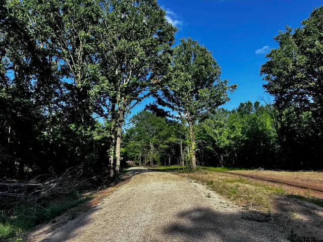 $336,000 | 599 Private Road 8507, Van, TX 75790