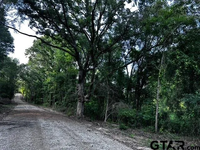 $336,000 | 599 Private Road 8507, Van, TX 75790