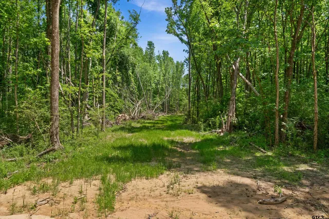 $336,000 | 599 Private Road 8507, Van, TX 75790