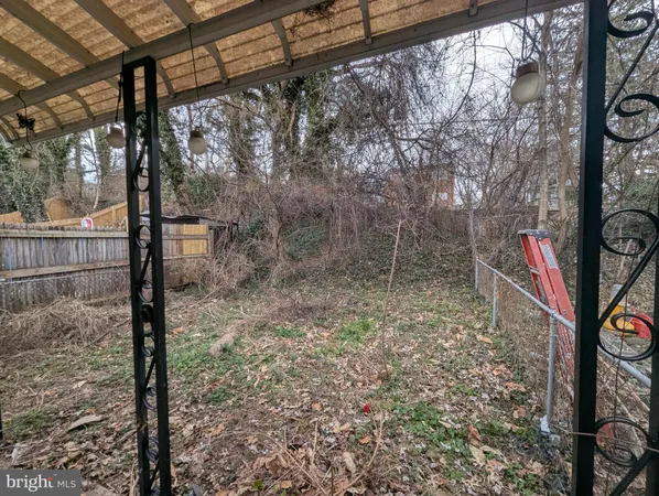 a view of a forest with a tree