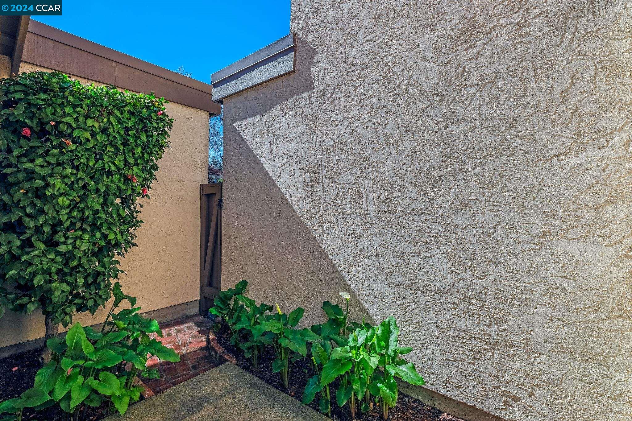 646 Preakness Drive Walnut Creek, CA 94597 - Photo 15 of 26 a backyard with plants