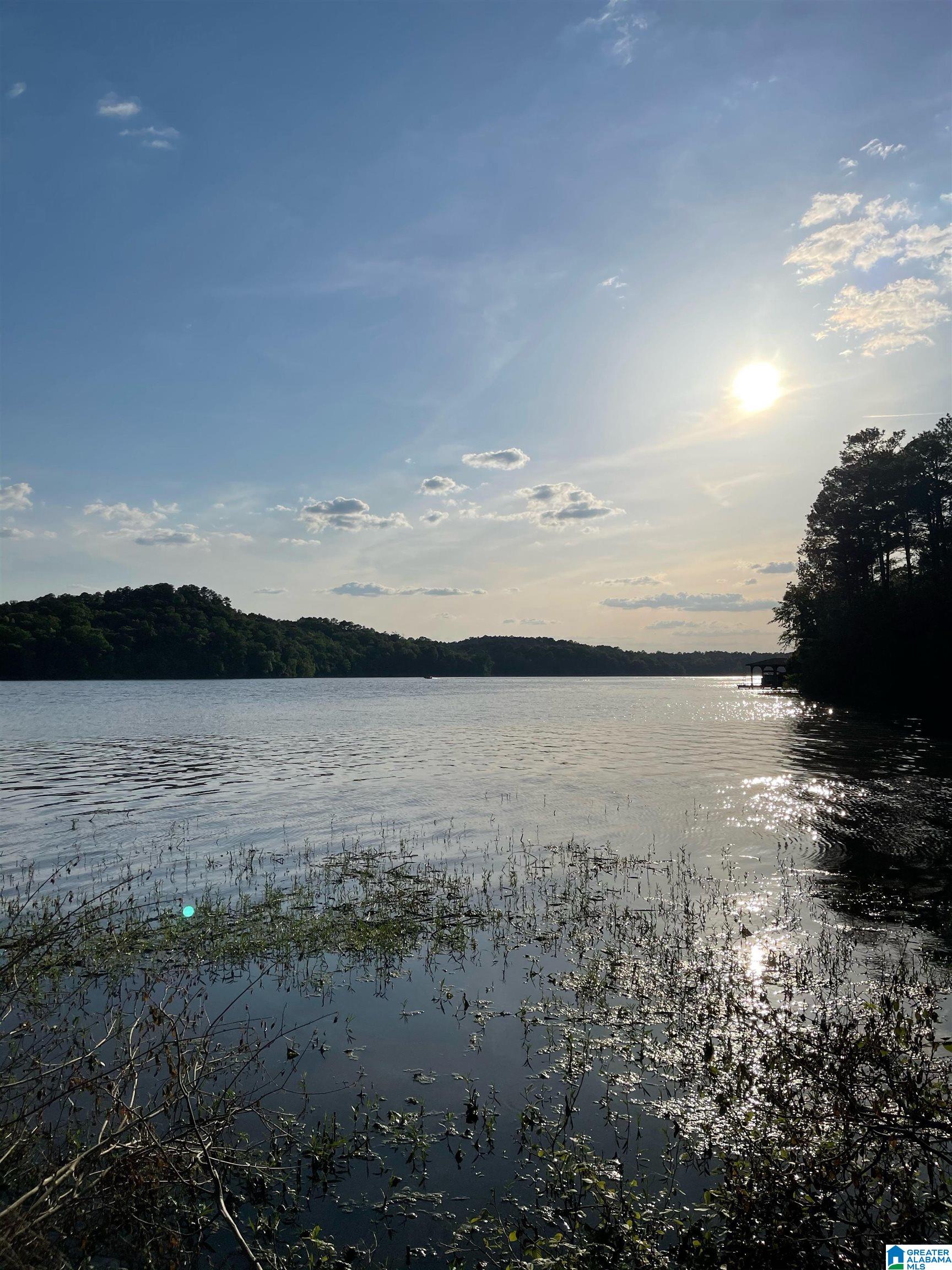 Lot 181 Stillwaters Trail, Unit 181 Sylacauga, AL 35151 - Photo 1 of 3